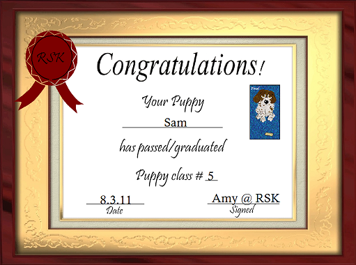 Sam Certificate1