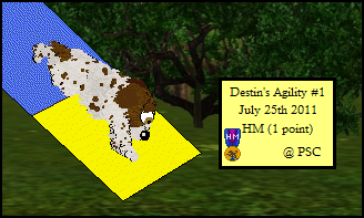 Sam Agility Destiny1