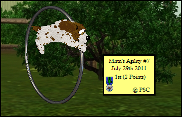 Sam Agility Mntn7