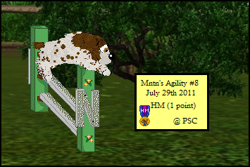 Sam Agility Mntn8