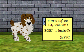 Sam BOBJ PDH Conf2