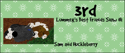 Sam Best Friends 3rd Award
