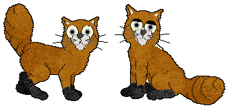 Tanuki